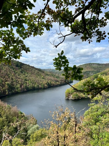 Bird Watching Runde: Von Vogelsang über die Urftseebrücke