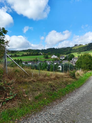 Krenkeltal und Goldener Zapfen