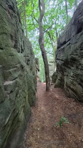 Berdorf B2
