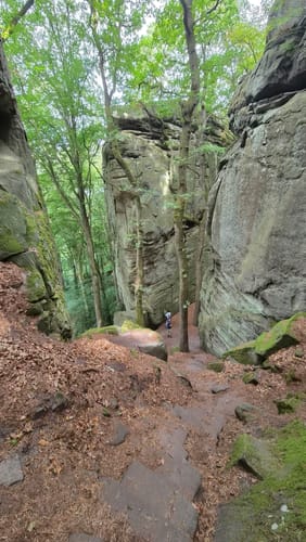 Berdorf B2