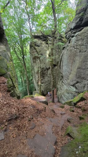 Berdorf B2