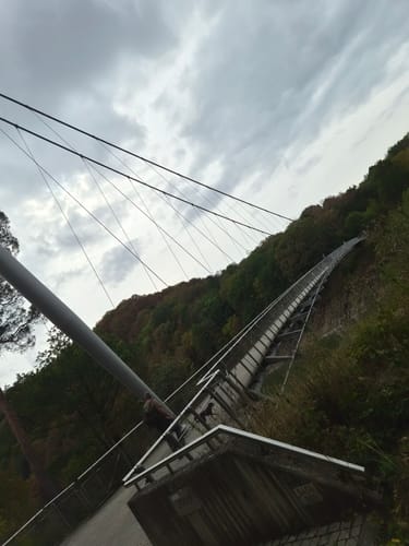 Bird Watching Runde: Von Vogelsang über die Urftseebrücke