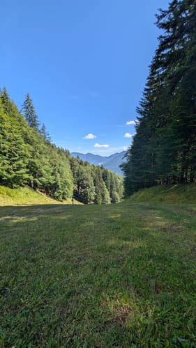 Hirschberg von Kreuth-Scharling