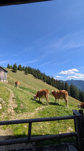 Hirschberg von Kreuth-Scharling