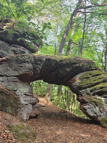 Felsenwald (Premiumwanderweg)