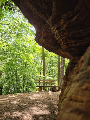 Felsenwald (Premiumwanderweg)