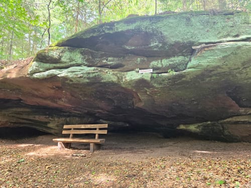 Felsenwald (Premiumwanderweg)