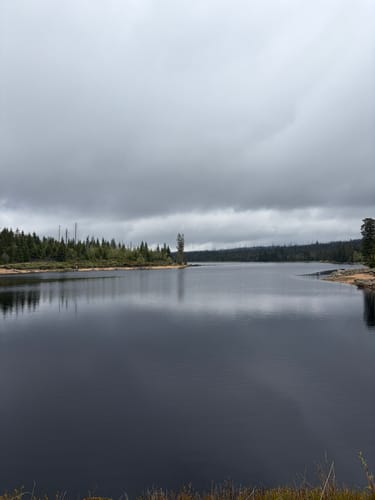 Rundwanderweg Oderteich