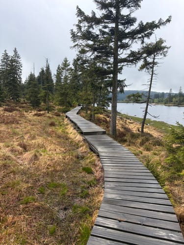 Rundwanderweg Oderteich
