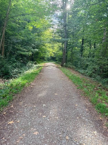 Blaustrümpflerweg rund um Heslach