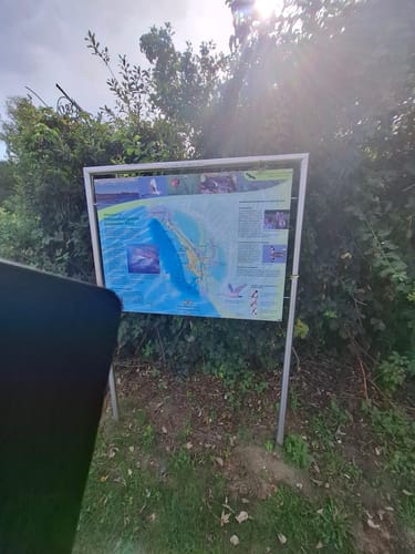 Bodensee-Rundwanderweg Etappe 4: Friedrichshafen - Lindau