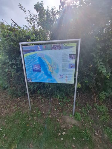 Bodensee-Rundwanderweg Etappe 4: Friedrichshafen - Lindau