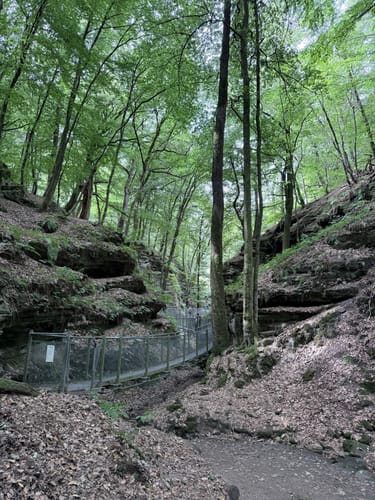 Müllerthal Trail Route 2: Echternach - Consdorf