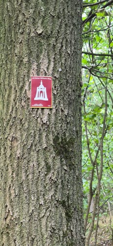 Zur Wittekindsburg und dem Wittekindsberg