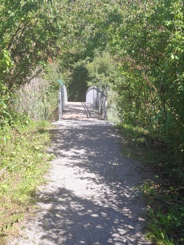 Bodensee-Rundwanderweg Etappe 4: Friedrichshafen - Lindau