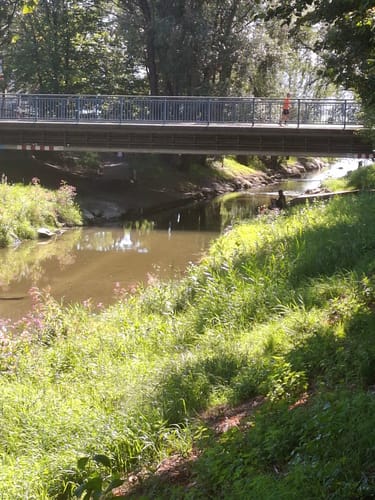 Bodensee-Rundwanderweg Etappe 4: Friedrichshafen - Lindau
