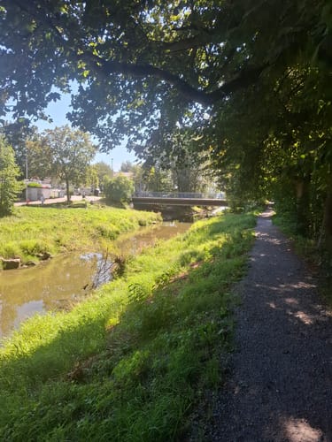 Bodensee-Rundwanderweg Etappe 4: Friedrichshafen - Lindau