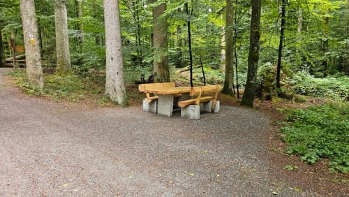 Baumwipfelpfad und Tier-Freigelände im Nationalpark Bayerischer Wald