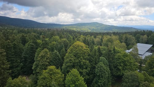 Baumwipfelpfad und Tier-Freigelände im Nationalpark Bayerischer Wald