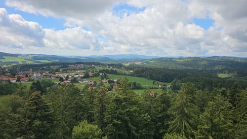 Baumwipfelpfad und Tier-Freigelände im Nationalpark Bayerischer Wald