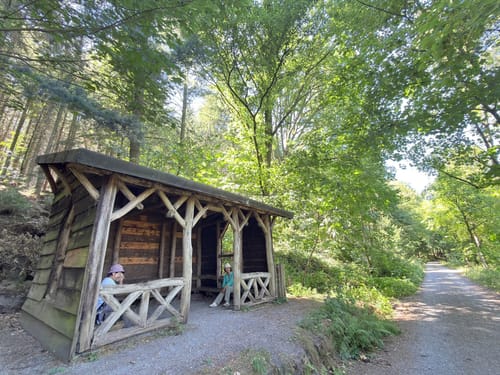 Königstuhl - Heidelberg Wanderweg 9