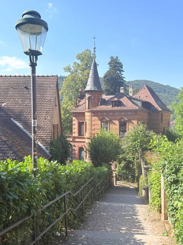 Königstuhl - Heidelberg Wanderweg 9