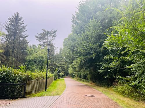 Schwielowsee Rundweg