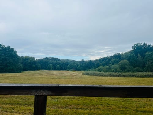 Schwielowsee Rundweg