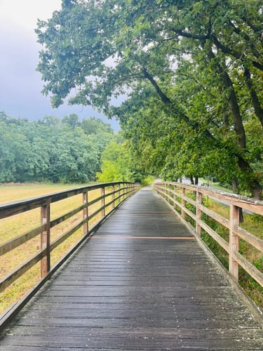 Schwielowsee Rundweg