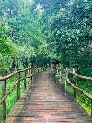 Schwielowsee Rundweg