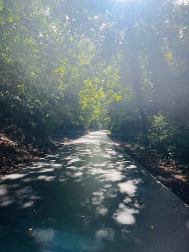 Schwielowsee Rundweg
