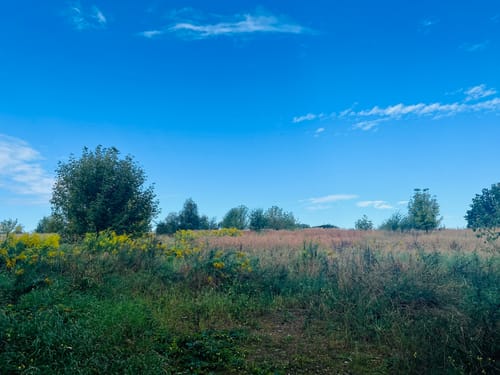 Schwielowsee Rundweg