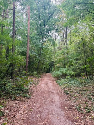 Schwielowsee Rundweg
