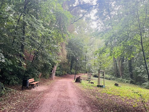 Schwielowsee Rundweg