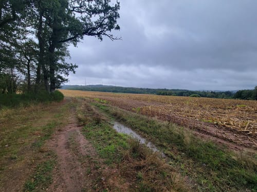 Bärenpfad (Premiumwanderweg)