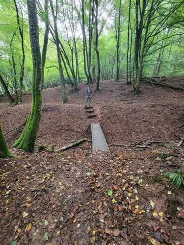 Bärenpfad (Premiumwanderweg)