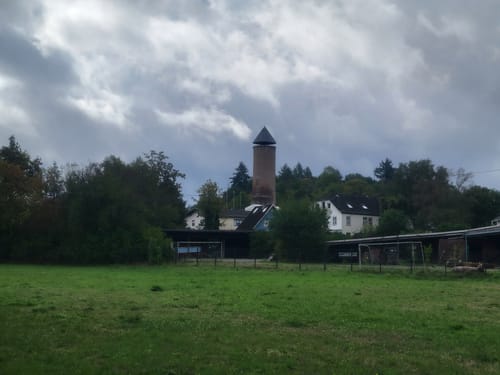 Bärenpfad (Premiumwanderweg)