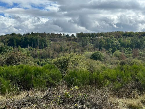 Auf den Spuren vergangener Zeiten und zukünftiger Wildnis