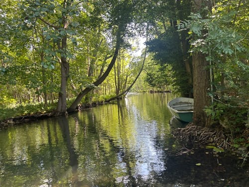 Paddelroute: Wurlsee, Nesselpfuhl, Oberpfuhl
