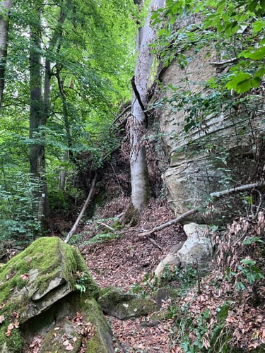 Teufelsschlucht (Großer Rundweg)