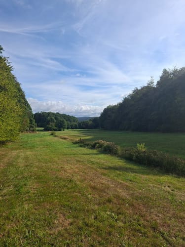 Bergfreiheit-Odershausen-Hundsdorf