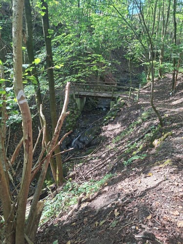 Bergfreiheit-Odershausen-Hundsdorf