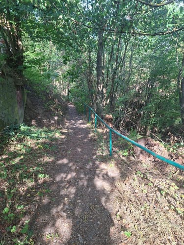 Bergfreiheit-Odershausen-Hundsdorf