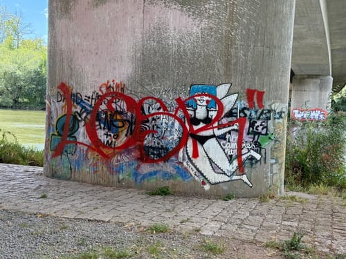 11