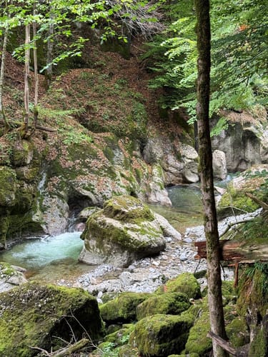 Rappenfluh und Engenlochschlucht