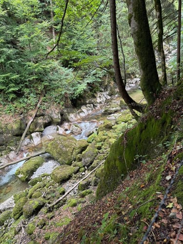 Rappenfluh und Engenlochschlucht