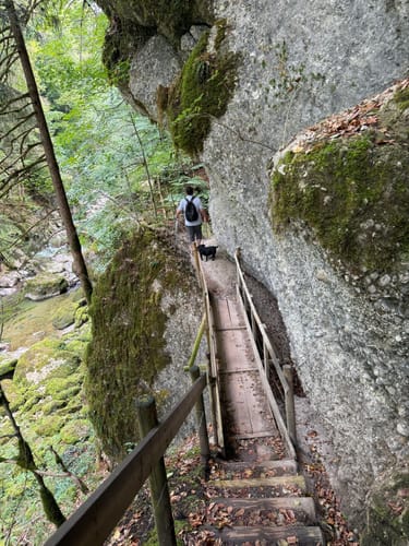Rappenfluh und Engenlochschlucht