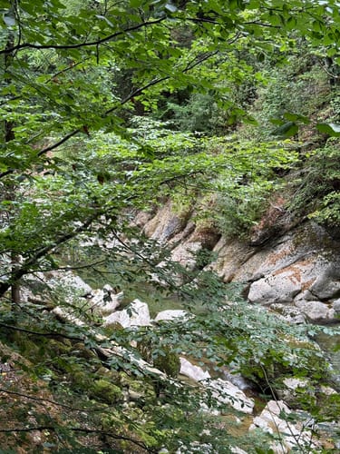 Rappenfluh und Engenlochschlucht