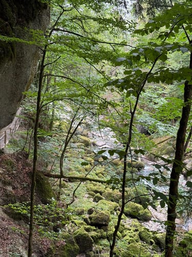 Rappenfluh und Engenlochschlucht