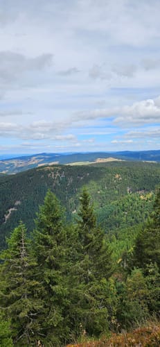 Belchensteig (Genießerpfad)